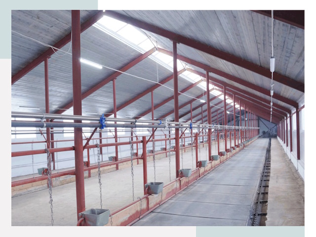 Строительство коровников в Алейске от 619 руб.