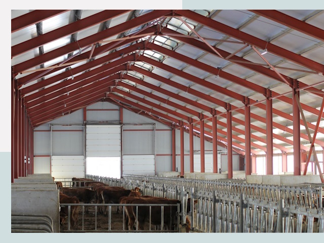 Строительство коровников в Алейске