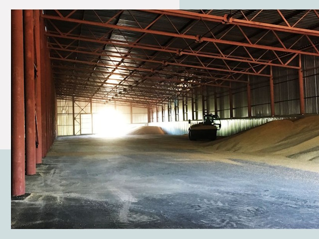 Строительство зернохранилищ в Алейске