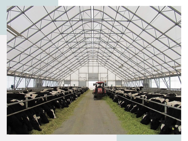 Тентовые коровники в Алейске от 619 руб. - Надежно и доступно