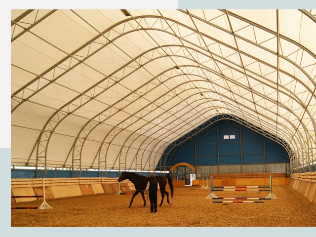 Строительство конных манежей в Алейске